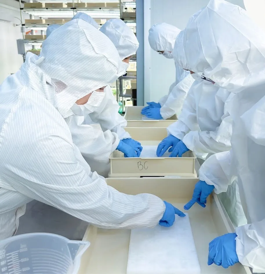Gloved team performing quality checks in the production room